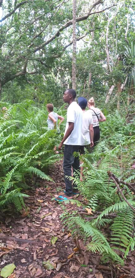Zanzibar: Jozani Forest & Red Colobus Monkeys Private Tour - Practical tips for a better visit