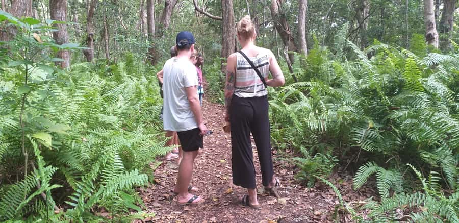 Zanzibar: Jozani Forest & Red Colobus Monkeys Private Tour - The 50-minute ride from Zanzibar