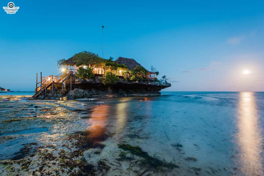 Zanzibar: Jozani Forest,Red colobus,the Rock Restaurant tour - The mangroves: a useful second stop