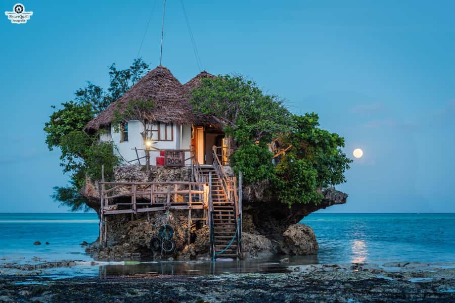 Zanzibar: Jozani Forest,Red colobus,the Rock Restaurant tour - Plan the restaurant stop carefully