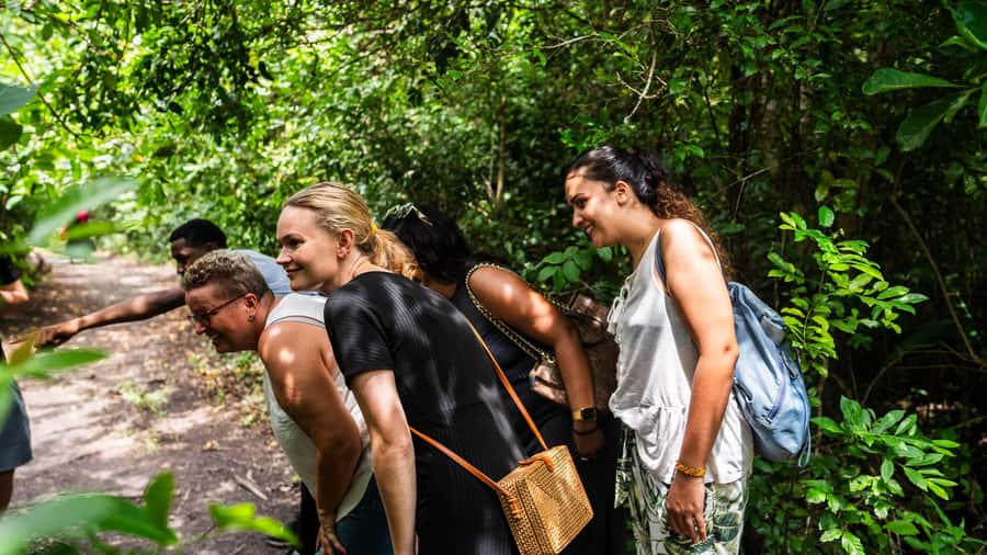 Zanzibar: Jozani Forest,Red colobus,the Rock Restaurant tour - Transport, timing, and what six hours really means