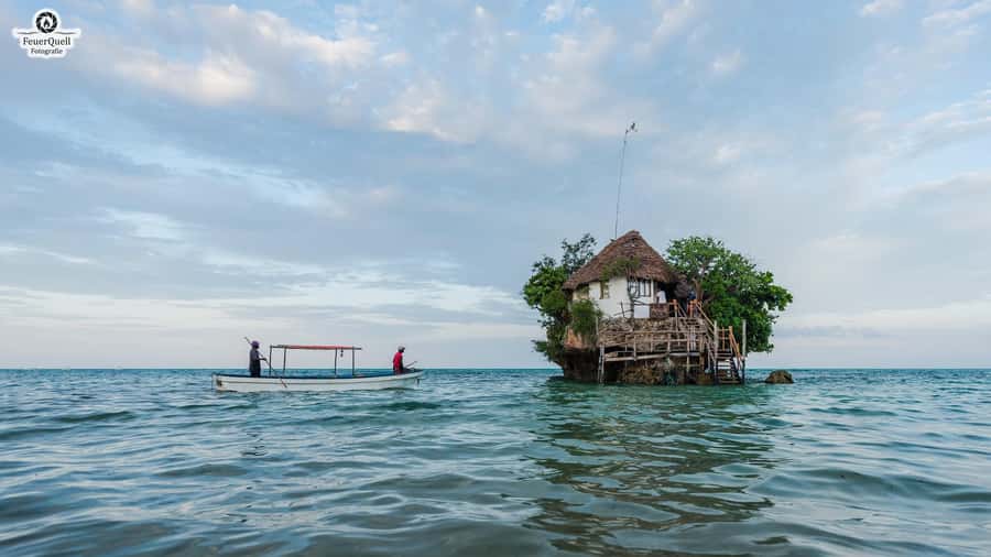 Zanzibar: Jozani Forest,Red colobus,the Rock Restaurant tour - Red colobus monkeys and the value of a local guide