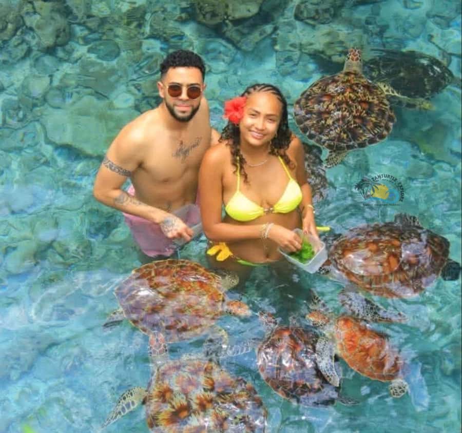 Zanzibar: Jozani Forest & Salaam Cave Sea Turtles Swim Tour - Five to six hours with private transport