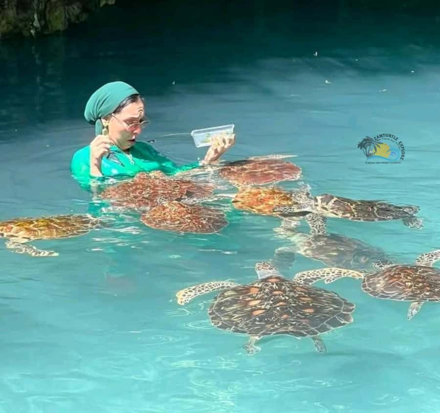 Zanzibar: Jozani Forest & Salaam Cave Sea Turtles Swim Tour - What the $95 price includes