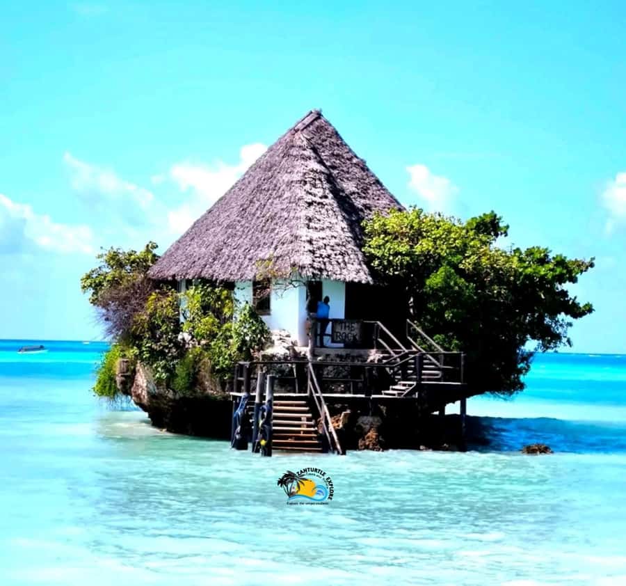 Zanzibar: Jozani Forest, Salaam Cave & The Rock Restaurant - What the $105 price really covers