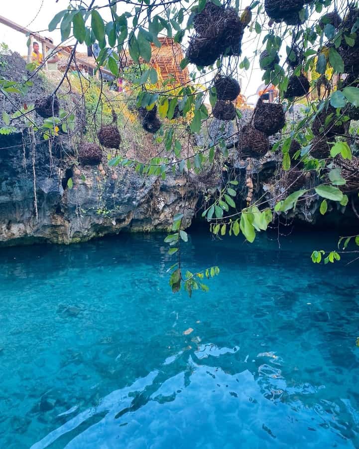 Zanzibar: Jozani Forest, Salaam & Maalum Caves and Sunset - Guides, drivers, and the feel of the day