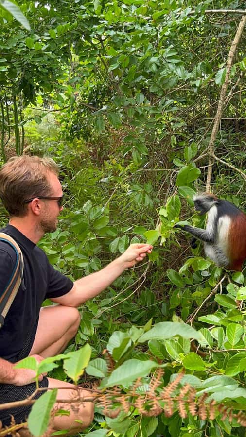 Zanzibar: Jozani Forest & Sea Tortoises Sanctuary Tour - Small groups, private tours, and guide quality