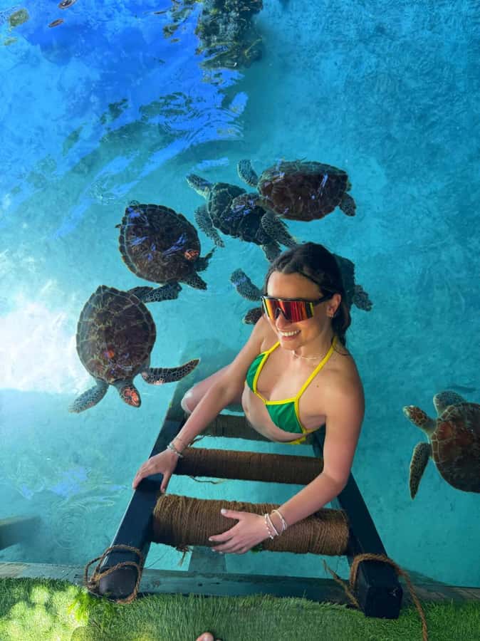 Zanzibar: Jozani Forest & Sea Tortoises Sanctuary Tour - Who will get the most from this half-day trip