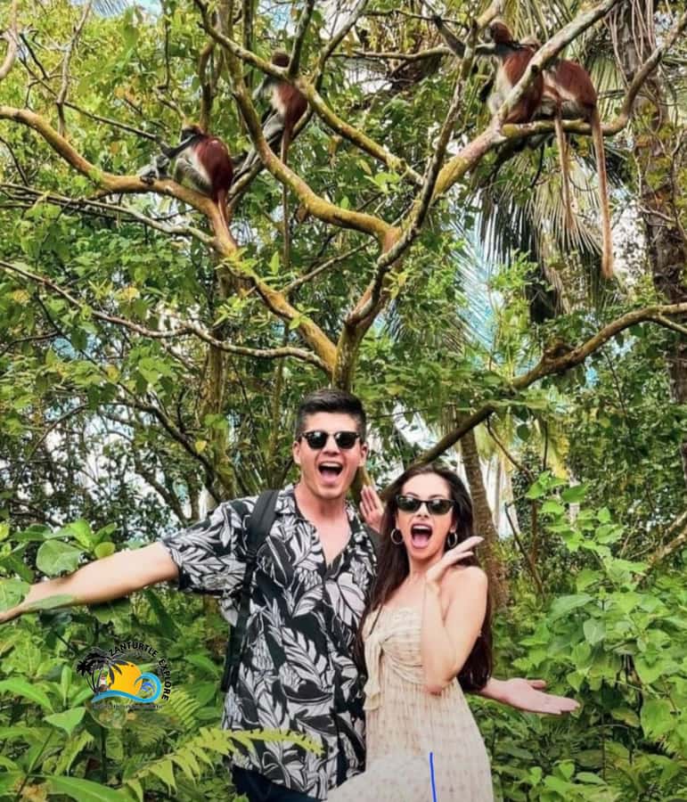Zanzibar: Jozani Forest Tour and The Rock Restaurant - Is the food worth the extra cost?