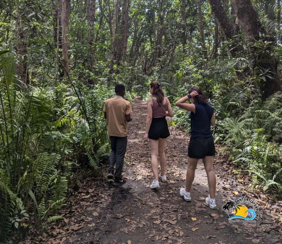 Zanzibar: Jozani Forest Tour and The Rock Restaurant - What the $90 price includes