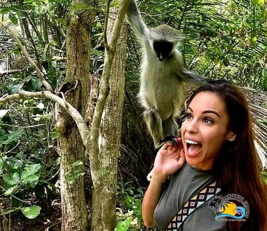 Zanzibar: Jozani Forest Tour and The Rock Restaurant - What to bring, and what not to bring