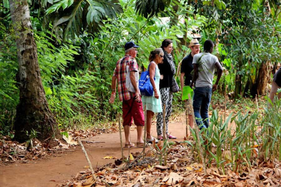 Zanzibar: Jozani forest tour & Spice farm tour with lunch - Key points at a glance