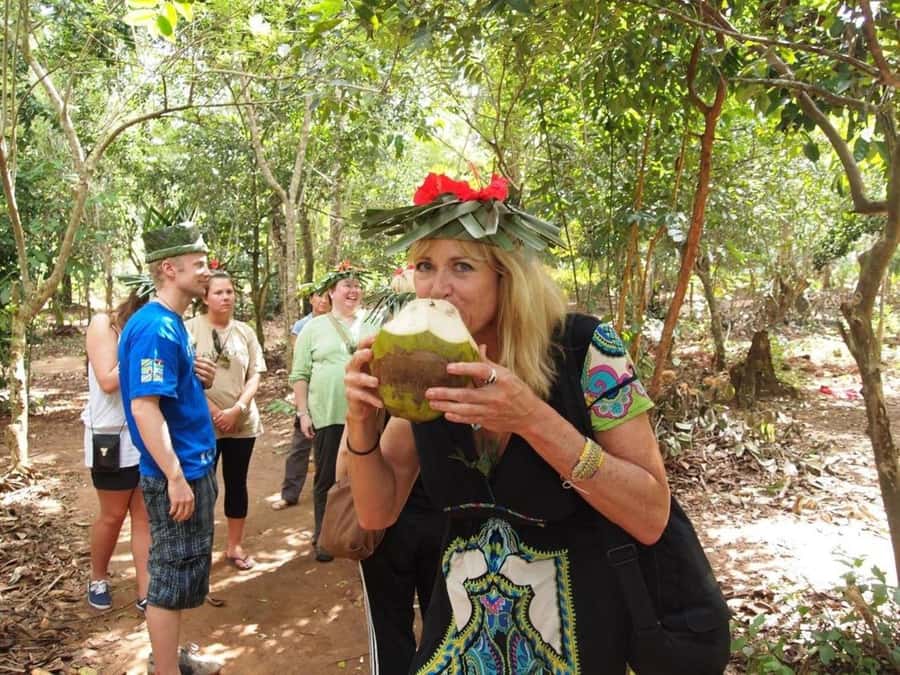 Zanzibar: Jozani forest tour & Spice farm tour with lunch - Why this Zanzibar pairing works
