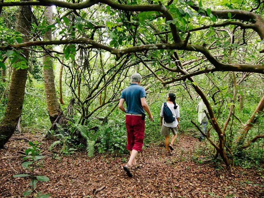 Zanzibar: Jozani forest tour & Spice farm tour with lunch - Is $110 a fair price?