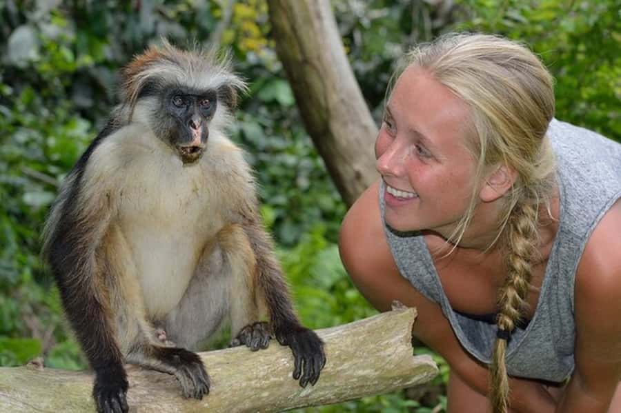 Zanzibar: Jozani Forest Watching Colobus Monkeys Guided Tour - Key points to know before booking