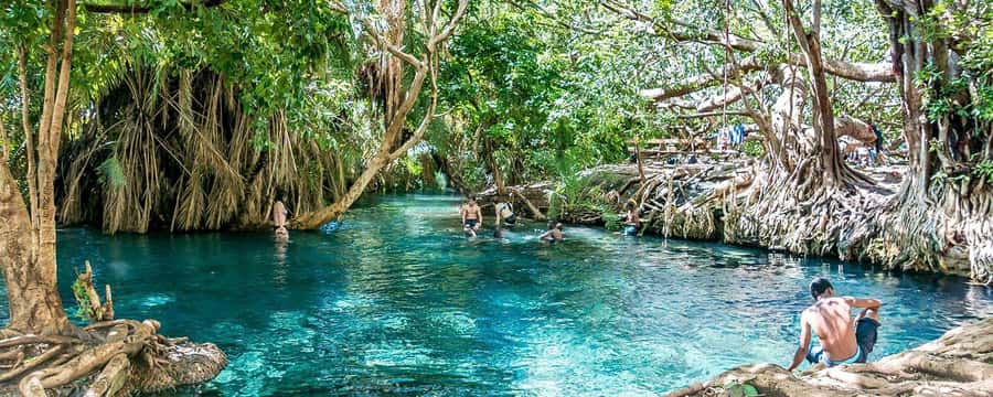 Zanzibar: Jozani Forest Watching Colobus Monkeys Guided Tour - Why Jozani Forest deserves your time