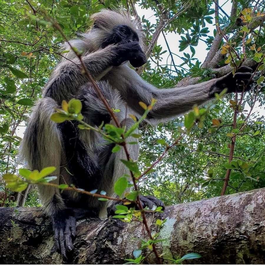 Zanzibar: Jozani nature walk and wildlife tour - Who will enjoy this tour most?