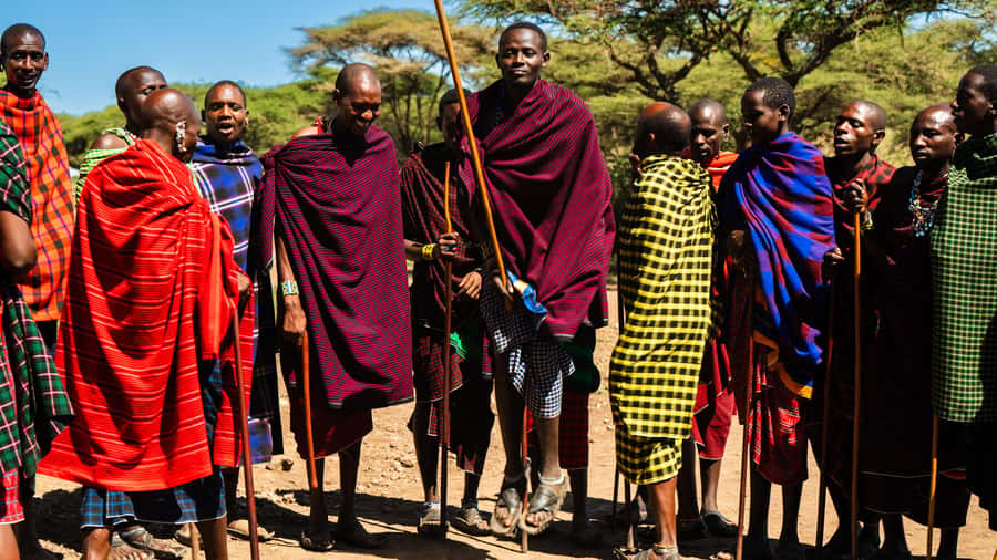 Zanzibar: Maasai village and Nungwi turtles experience trip - What happens at the Marine Turtle Conservation Lagoon