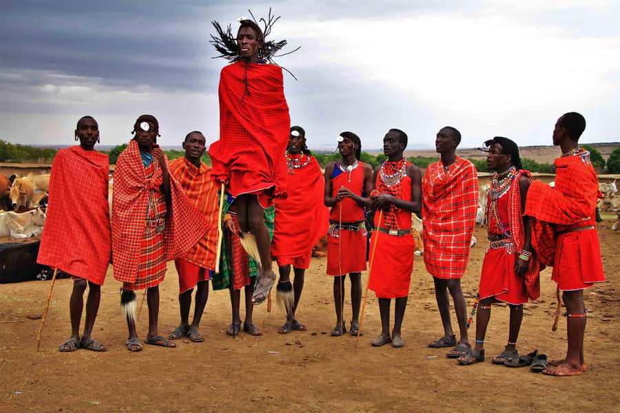 Zanzibar: Maasai village Tour with Sunset Dhow Cruise - From hotel pickup to Maasai World Village
