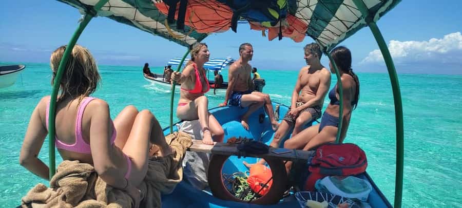 Zanzibar: Mnemba Atoll Marine Reserve Snorkeling Tour - What You Actually See Near Mnemba