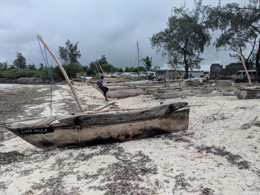 Zanzibar: Mnemba Atoll Marine Reserve Snorkeling Tour - Practical Advice Before You Go