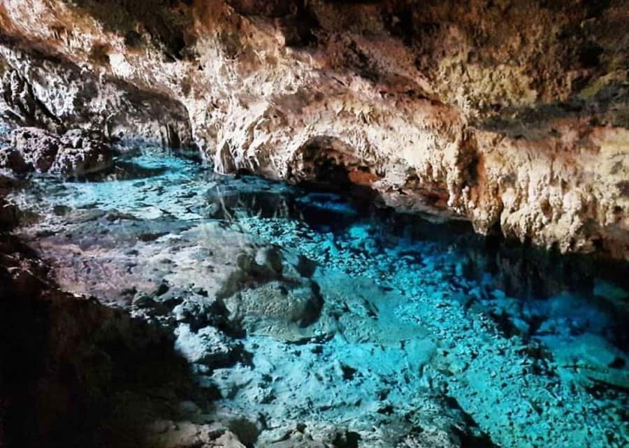 Zanzibar: Mnemba Island Atoll Guided Day Trip - Kuza Cave in Jambiani