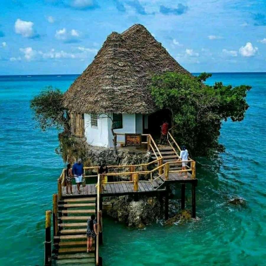 Zanzibar: Mnemba Island Atoll Guided Day Trip - Is nine hours enough?