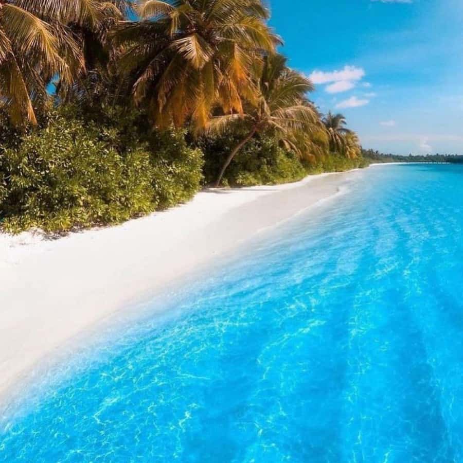 Zanzibar: Mnemba Island Atoll Guided Day Trip - What to pack and who should book