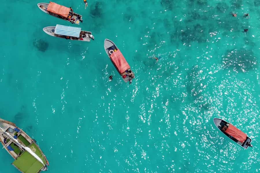 Zanzibar: Mnemba Island Dolphin and Snorkeling Tour - Key points to know before booking