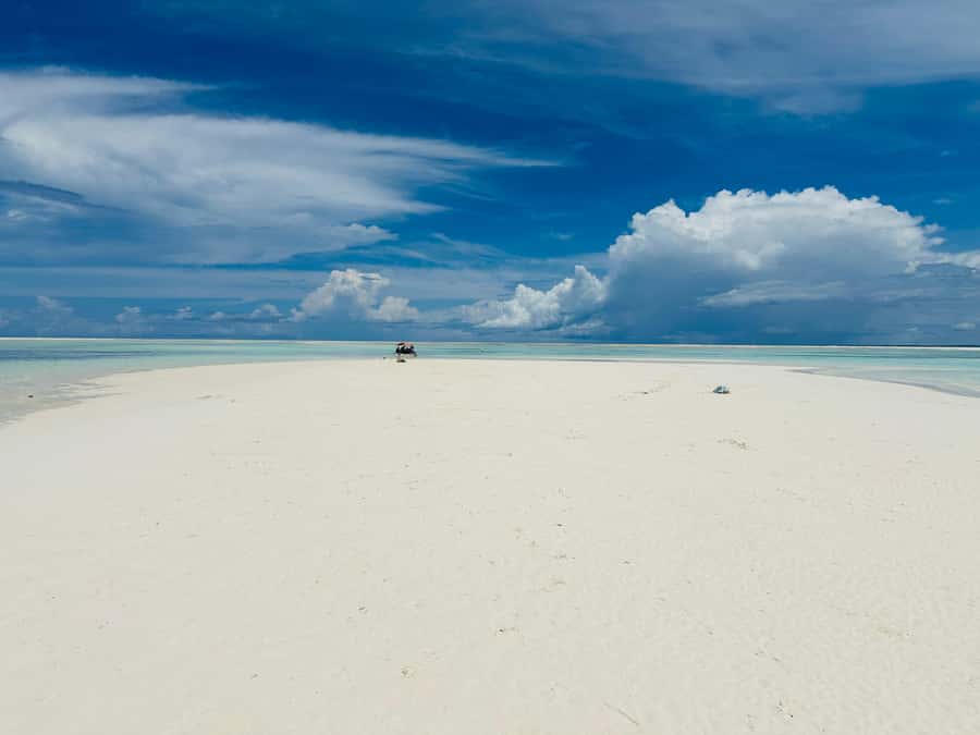Zanzibar: Mnemba Island Dolphin and Snorkeling Tour - What the $40 price includes