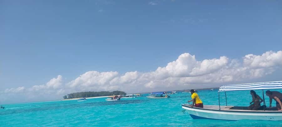 Zanzibar: Mnemba Island Dolphin and Snorkeling Tour - Who will enjoy this outing most