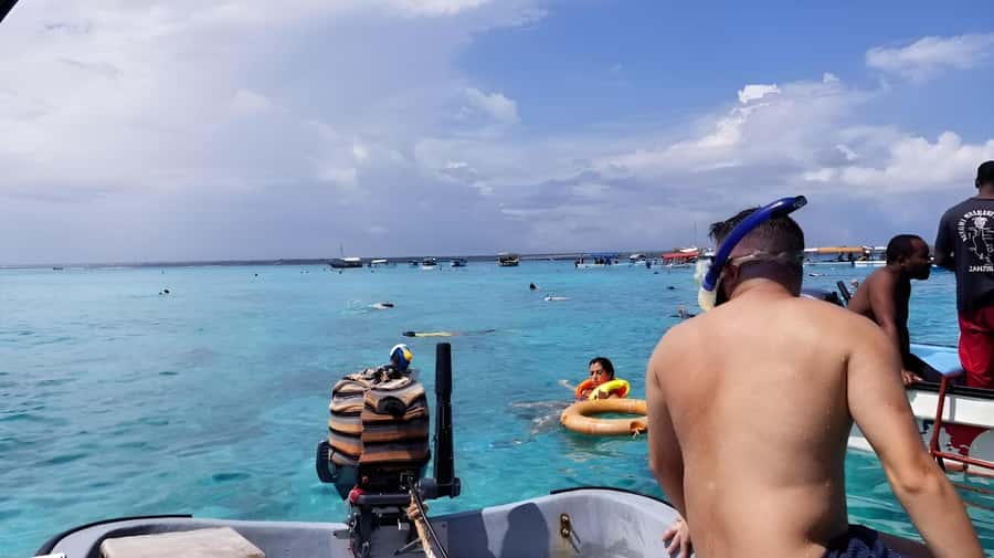 Zanzibar: Mnemba Island&Dolphin Swim With Optional Lunch - Should you book the Mnemba dolphin trip?