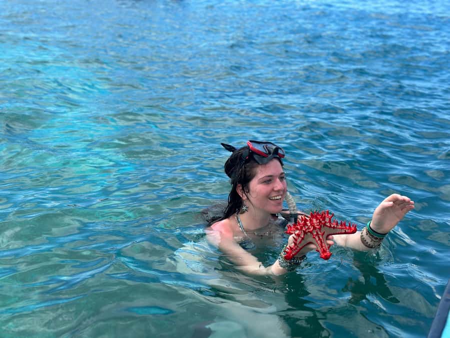 Zanzibar: Mnemba Island&Dolphin Swim With Optional Lunch - Snorkeling at Mnemba Atoll