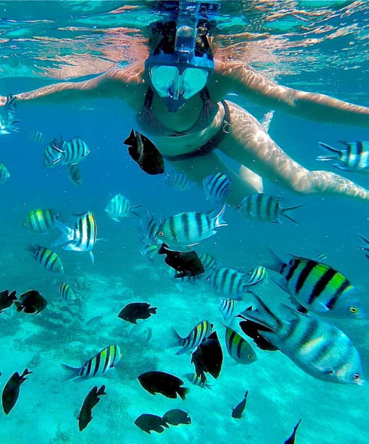 Zanzibar: Mnemba Island & Jozani Forest Tour with Turtles - A realistic eight-hour rhythm