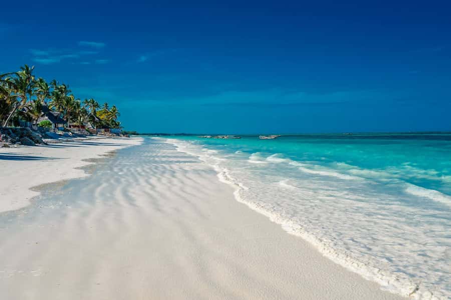 Zanzibar: Mnemba Island, Monkeys & Kuza Cave Private Tour - Food, packing, and small planning decisions