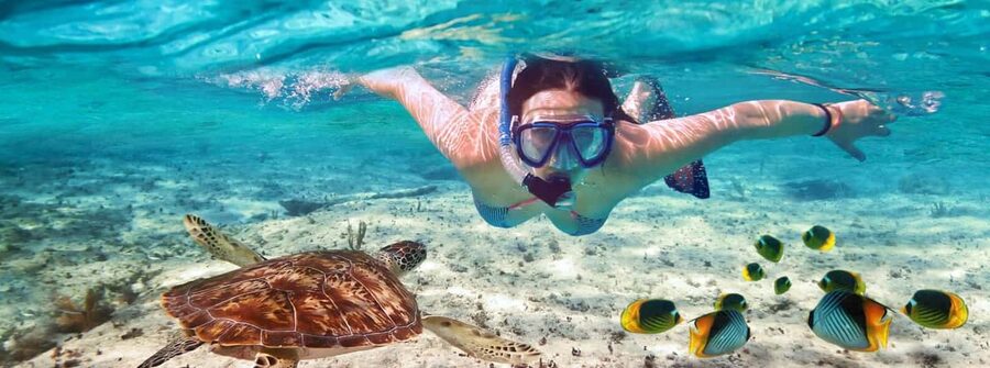 Zanzibar: Mnemba Island Private Snorkeling Tour and Pickup - How the crew affects the day