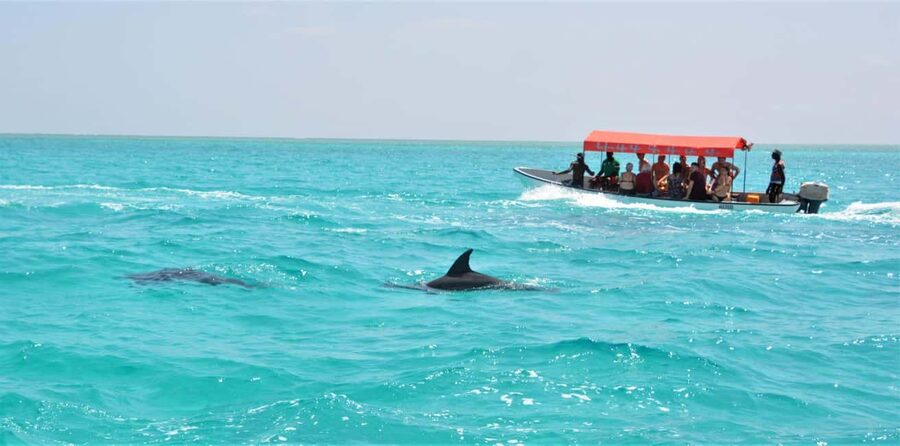 Zanzibar: Mnemba Island Private Snorkeling Tour and Pickup - What the $100 price really covers