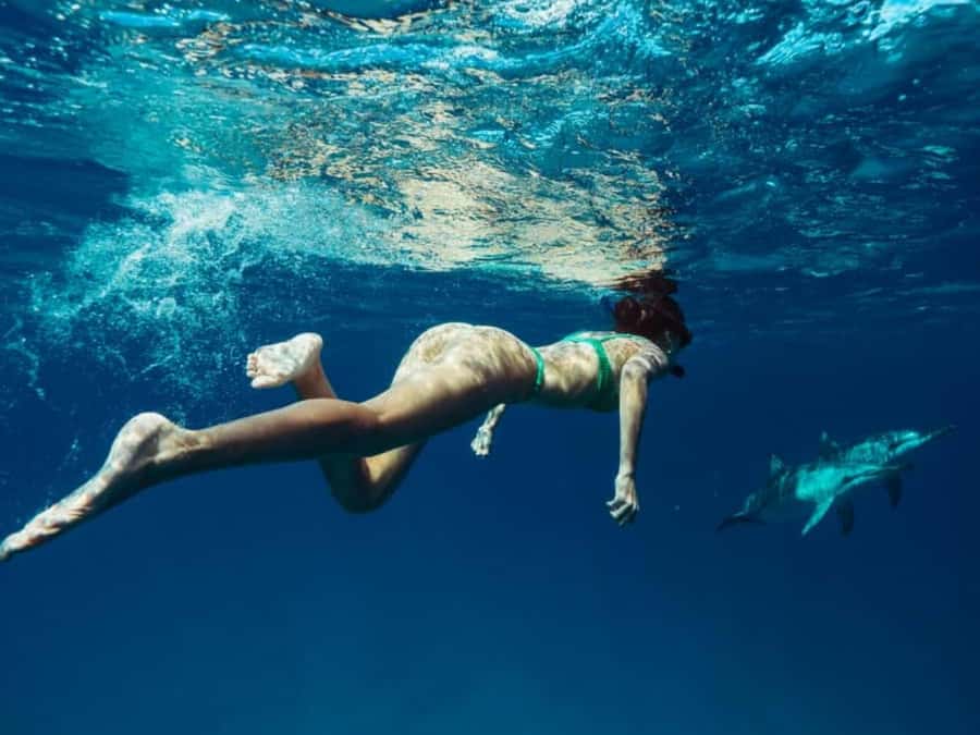 Zanzibar: Mnemba Island Private tour - Snorkeling the protected waters of Mnemba Atoll