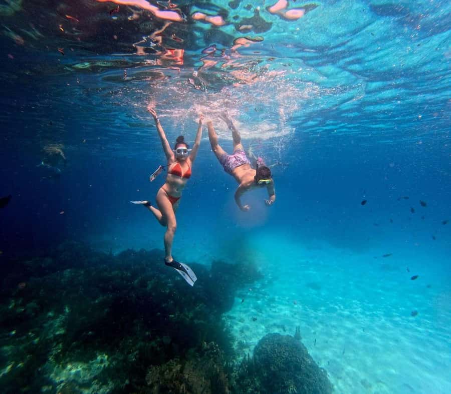 Zanzibar: Mnemba Island Private tour - Dolphin watching with an important warning