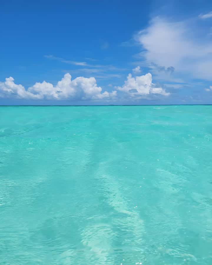 Zanzibar: Mnemba Island Snorkeling and Dolphin Tour - Who will enjoy this Zanzibar boat day