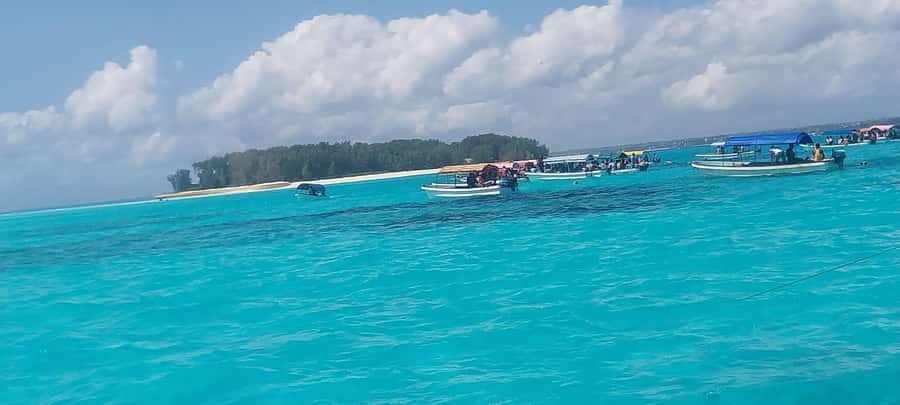 Zanzibar: Mnemba Island Snorkeling and Dolphin Tour - Who will enjoy this tour most