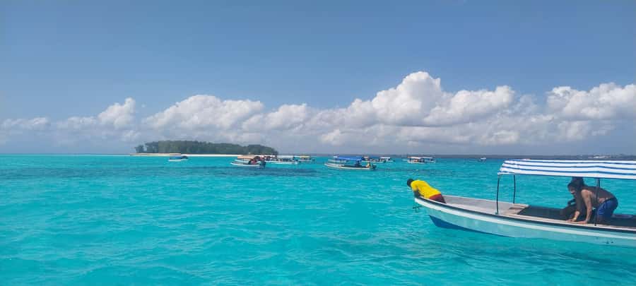 Zanzibar: Mnemba Island Snorkeling & Dolphin - Who will enjoy this Mnemba outing most