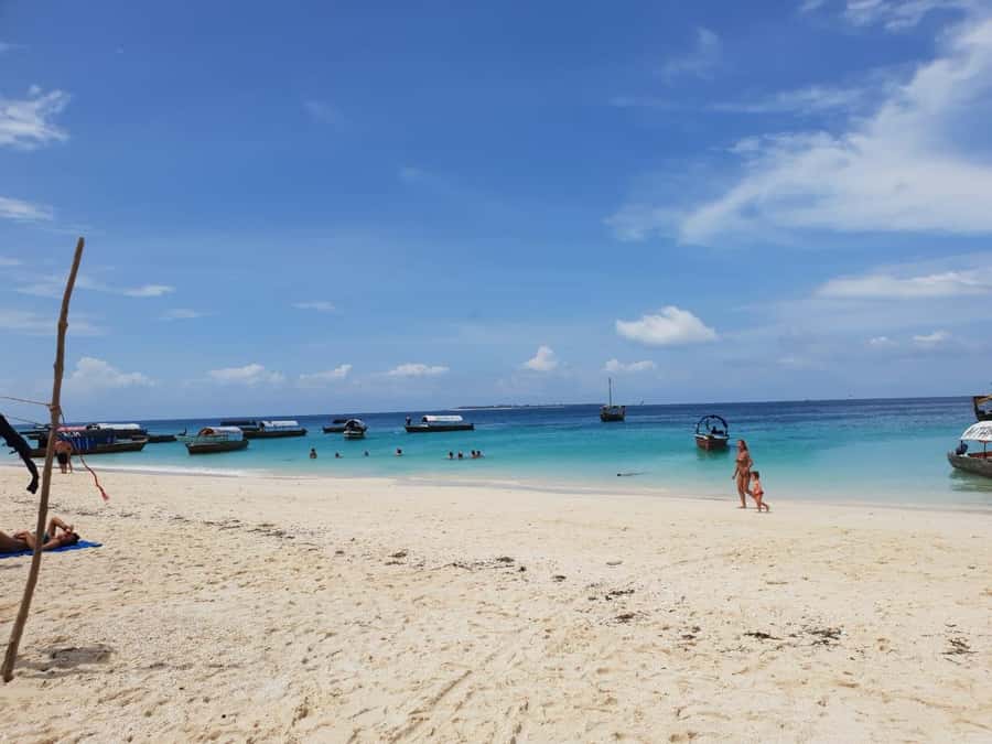 Zanzibar: Nakupenda Sandbank and Prison Island Tour & Lunch - Snorkeling, swimming, and free time