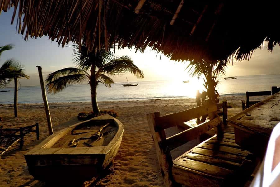 Zanzibar: Nakupenda Sandbank and Prison Island Tour & Lunch - Who will enjoy this day most
