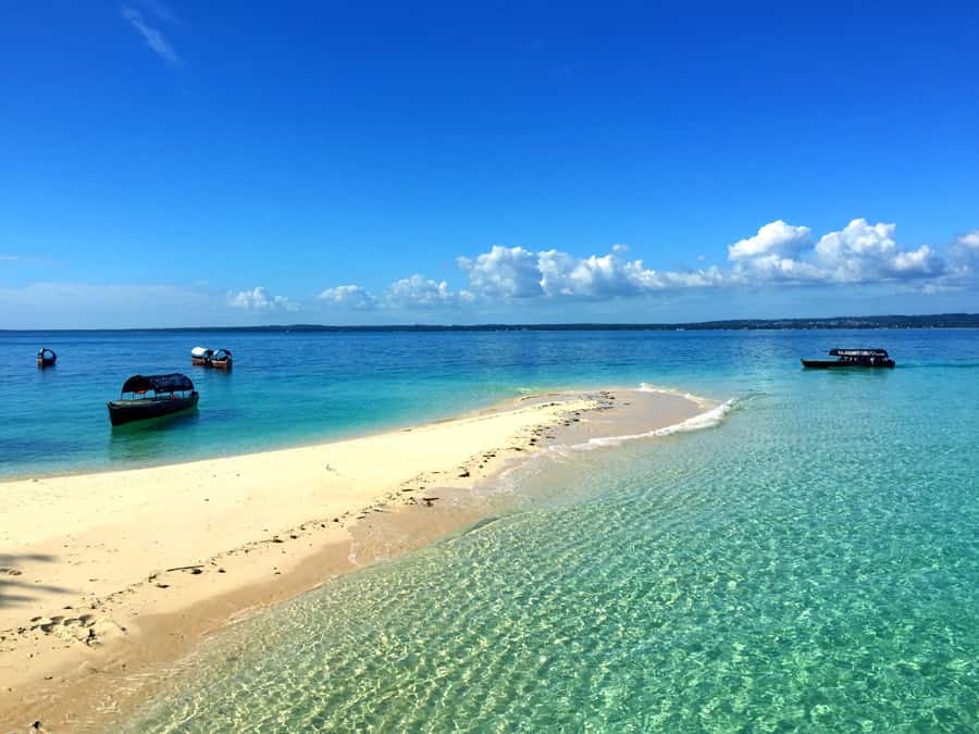 Zanzibar: Nakupenda Sandbank and Prison Island Tour & Lunch - Prison Island and its old cells