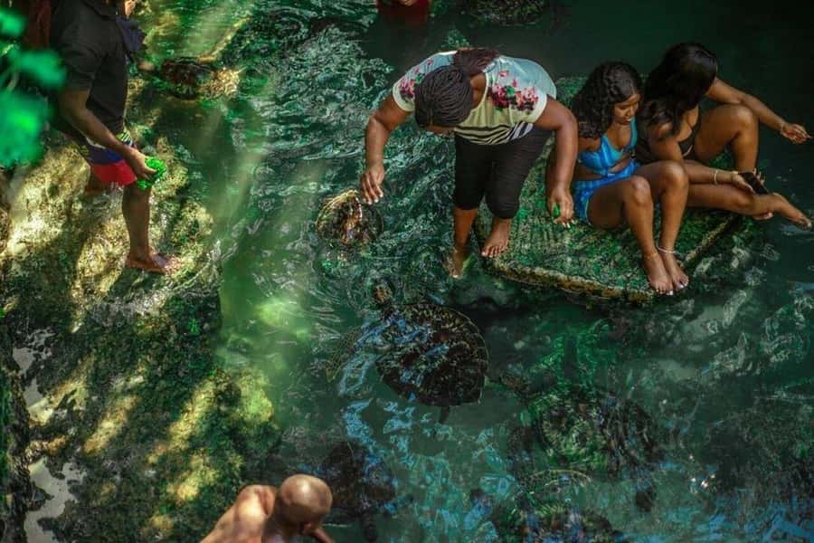 Zanzibar Nature Combo: Salaam Cave Swim & Jozani Forest Tour - What makes this tour memorable