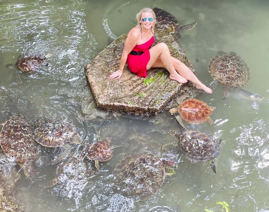Zanzibar: North Coast and Turtle Sanctuary Tour - Lunch with one included drink