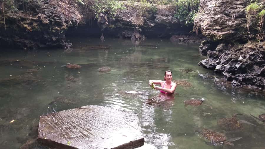 Zanzibar: North Coast and Turtle Sanctuary Tour - What the six-hour schedule feels like