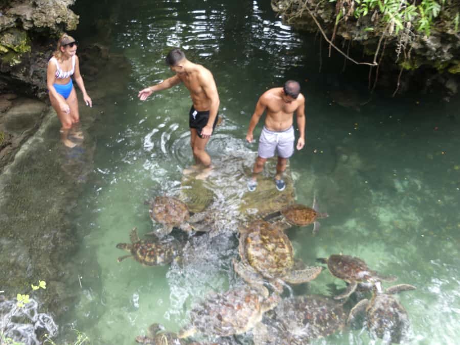 Zanzibar: North Coast and Turtle Sanctuary Tour - Practical tips before you go