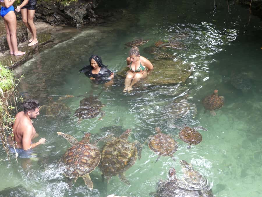 Zanzibar: North Coast and Turtle Sanctuary Tour - Should you book the North Coast and Turtle Sanctuary Tour?
